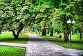 City park