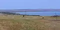 Western shore of lake Shira.