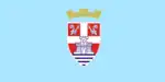 Flag of Trebinje