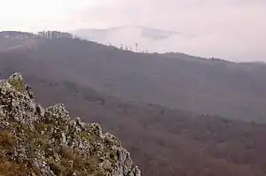 Zeya Zapovednik