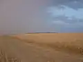 The field
