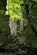Walls of the palace