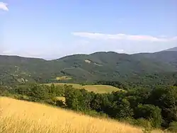 View by the fields