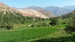 Ayni District