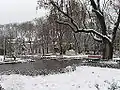 The winter in the garden