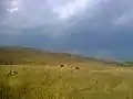 Ulan