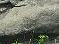 Pattern or mask