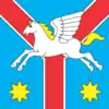 Flag of Zhmerynka