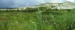 Chalk slopes in Belogorye Nature Reserve, Novooskolsky District