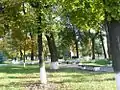 City park