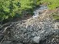 The spring of Frol