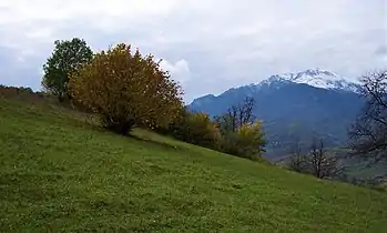 Scenery around Shrvenants