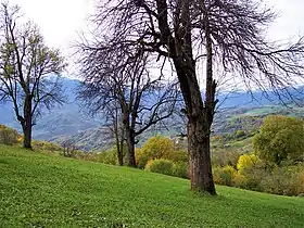 Scenery around Shrvenants