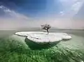 Image 1Dead Tree in Sea of Life is an installation artwork from 2017 by Amiram Dora, a travel guide from the nearby city Arad. The work consists of a tree planted on a salt pile in the Dead Sea. The purpose of the work is to show that as opposed to its common name, the Dead Sea is actually a place of rich tourist activity, healing and relaxation.