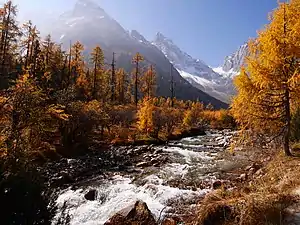 Bipenggou Valley