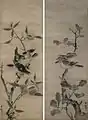 Mynah Birds and Pigeons