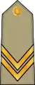 Sergent chef(Arabic: رقيب أول, romanized:&nbsp;Raqib awwal)(Algerian Land Forces)
