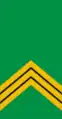 Sergent-chef(Mali Army)