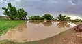 Water is standing in a field after rain