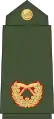 Brigadier general(Nepali: सहायक रथी, romanized:&nbsp;Sahaayak rathee)(Nepalese Army)