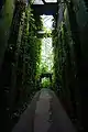 Green Crridor