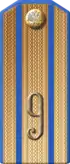 Ivanogorodsky 99th infantry regiment