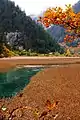 Reed Lake is a reed-covered marsh with a clear turquoise brook zigzagging through it