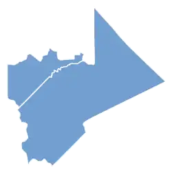 general election