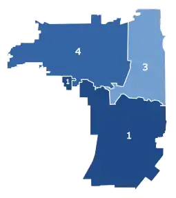 general election