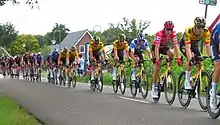 Peloton in Stage 2, Netherlands