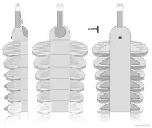 Mieridduryn is a panarthropod from the Middle Ordovician that shares traits with both opabiniids and radiodonts