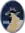 645_CYS