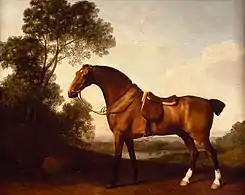 A Saddled Bay Hunter (1786), oil on panel, 48.2 x 57.7&nbsp;cm., Denver Art Museum