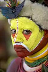 Woman in Papua New Guinea (2004)