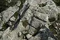 Quarry marks in the bedrock south of the southeast tower of the catadel.