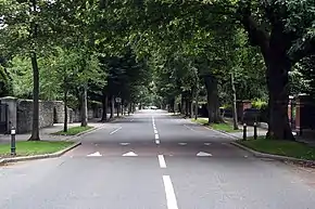 Ailesbury Road, Dublin, Ireland.jpg