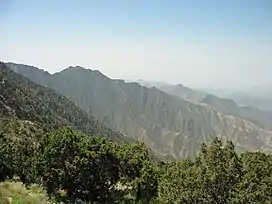 Jabal Sawda (3,000&nbsp;m or 9,800&nbsp;ft) located in the 'Asir subrange of the Sarat Mountains