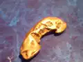 A gold nugget from the Blue Ribbon Mine in Alaska.