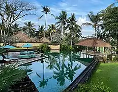 Pool at Amandari