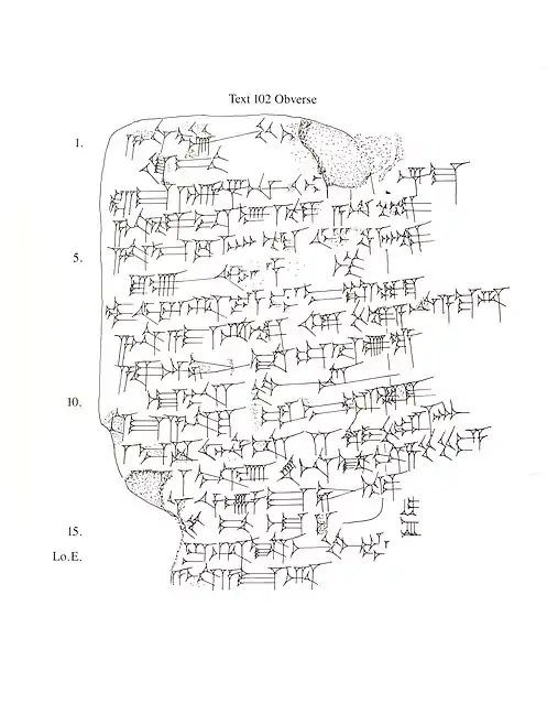 line drawing, Obverse