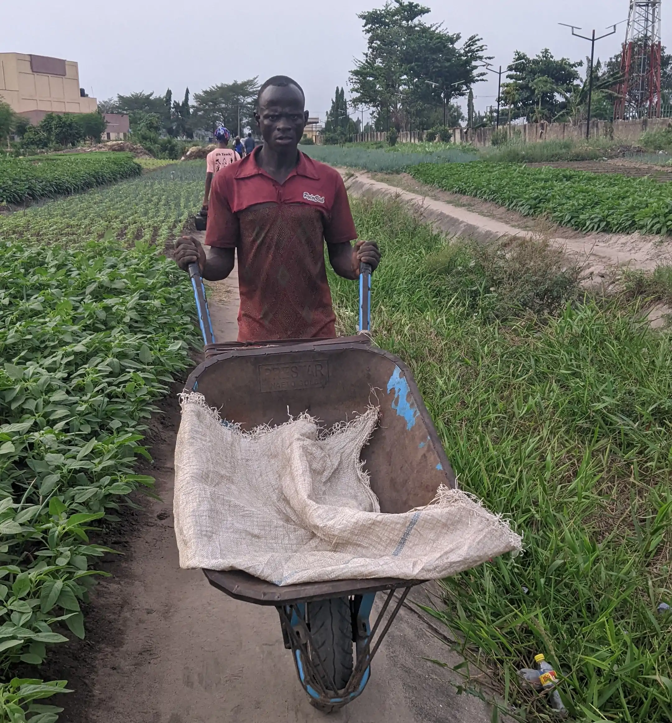 An Hausa Farmer in the Lagos State University
