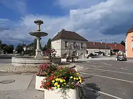The town hall and fountain in Andelot-en-Montagne