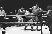 André the Giant, Big John Studd, Hillbilly Jim, and King Kong Buddy