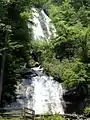 Falls on Curtis Creek side