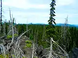 A view from the Takh Takh Lava Flow