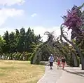 Grand Arbour, Southbank Parklands, Brisbane