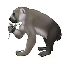 The subfossil lemur Archaeoindris was the largest lemur ever to exist, close in size to a gorilla.
