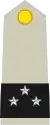 Général de division(French Army)