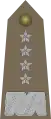 Generał (Polish Army)