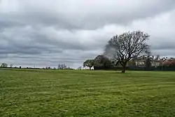 View across Ashton Park